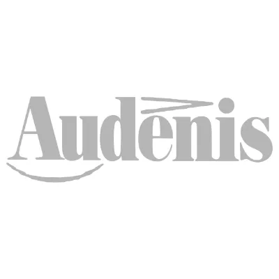 Logo Audenis